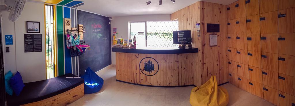 Blackpine Hostel Medellín Buitenkant foto