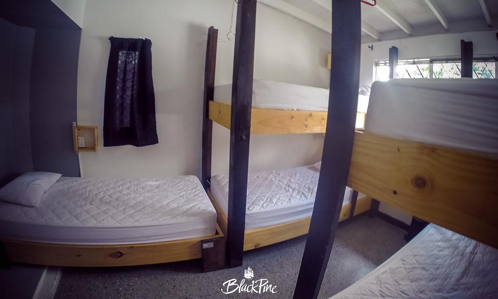 Blackpine Hostel Medellín Buitenkant foto